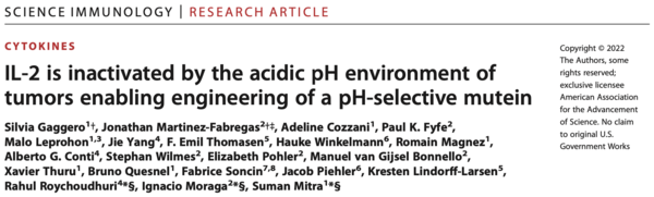 lien de l'article IL-2 is inactivated by the acidic pH environment of tumors enabling engineering of a pH-selective mutein