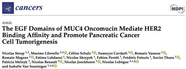 lien de l'article The EGF Domains of MUC4 Oncomucin Mediate HER2 Binding Affinity and Promote Pancreatic Cancer Cell Tumorigenesis