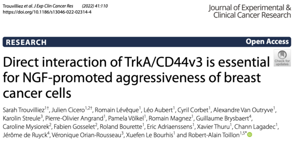 lien de l'article Direct interaction of TrkA/CD44v3 is essential for NGF-promoted aggressiveness of breast cancer cells