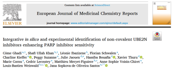 lien vers la publication Integrative in silico and experimental identification of non-covalent UBE2N inhibitors enhancing PARP inhibitor sensitivity