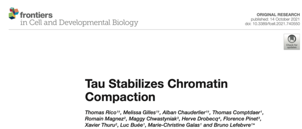 Lien de l'article Tau Stabilizes Chromatin Compaction