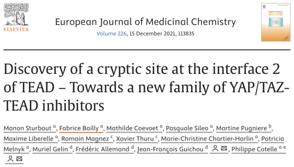 lien de l'article Discovery of a cryptic site at the interface 2 of TEAD - Towards a new family of YAP/TAZ-TEAD inhibitors