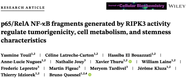 p65/RelA NF-KB fragments generated by RIPK3 activity regulate tumorigenicity, cell metabolism, and stemness characteristics