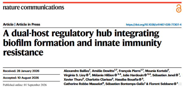 Lioen vers la publication A dual-host regulatory hub integrating biofilm formation and innate immunity resistance