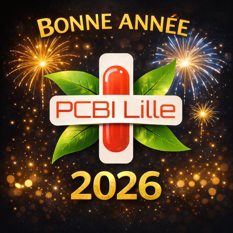 Photo carte de voeux de 2026 de PCBI